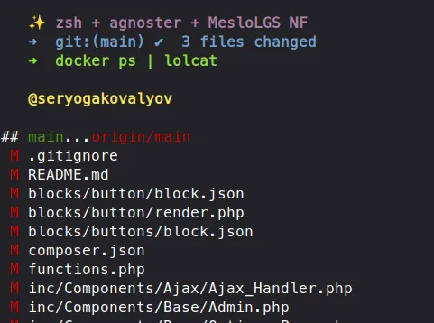 Setting Up a Beautiful Zsh Terminal (agnoster + MesloLGS NF + Colors)